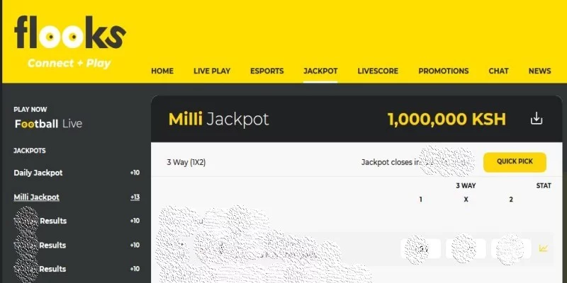Flooks Daily Milli Jackpot Predictions