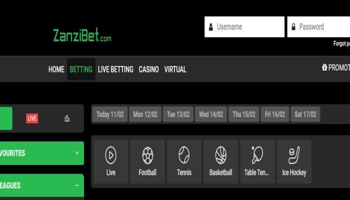 Step by step guide for ZanziBet registration and login
