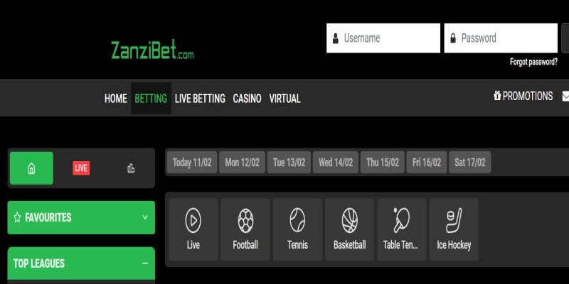 Step by step guide for ZanziBet registration and login