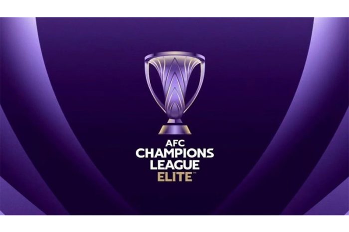 Lewandowski Joins Ronaldo, Kane, and Neymar in the Champions League Elite Club