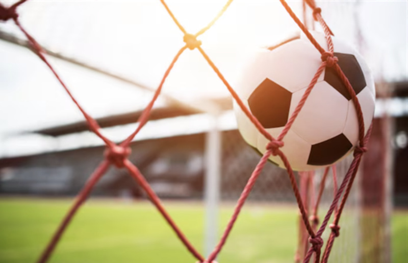 How Online Communities Reshape Iran's Sport Audience