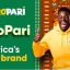 Your complete guide to the Afropari app in Africa