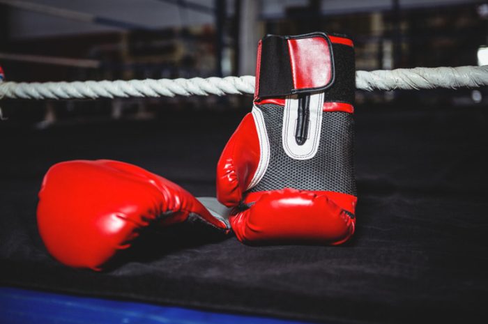 How German Fight Nights Travel Across Markets: A NuxGame Perspective